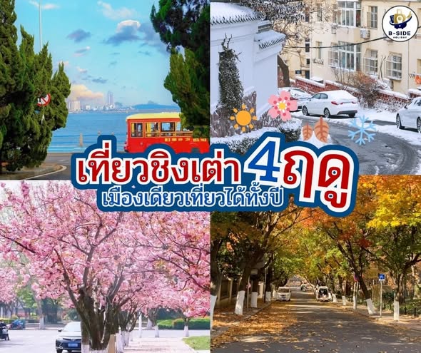 เที่ยวชิงเต่า 4 ฤดู เมืองเดียวเที่ยวได้ทั้งปี