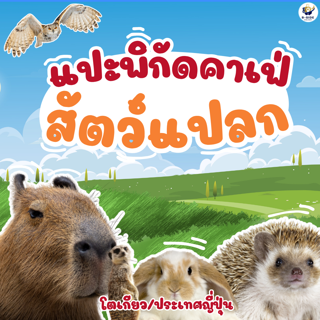 แนะนำคาเฟ่สัตว์สุดน่ารักในโตเกียว ประเทศญี่ปุ่น ที่สาย Animal Lover ไม่ควรพลาด