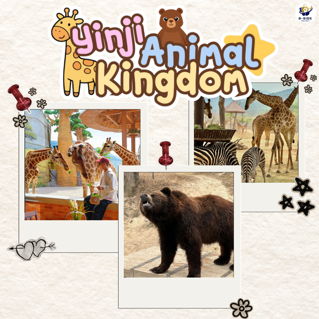 เปิดพิกัดความสนุกระดับโลกที่ Yinji Animal Kingdom อาณาจักรซาฟารีและธีมปาร์คสุดอลังการ