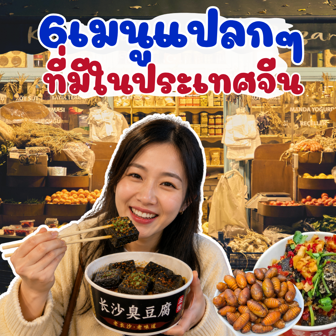 6 ของกินจีนที่เห็นแล้วอย่าเพิ่งกลัว เมนูแปลกที่ไปจีนแล้วต้องลองสักครั้ง