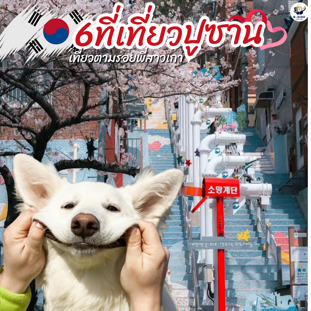 6ที่เที่ยวปูซาน ตามรอยพี่สาวเกา